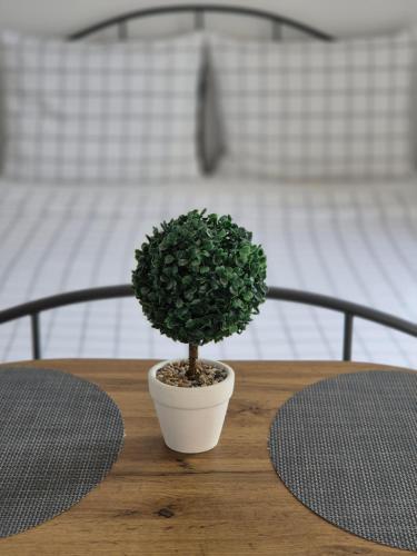 Studio apartment S&N