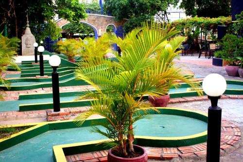 a group of palm trees in a courtyard with lights at The Magic Sponge in Kampot