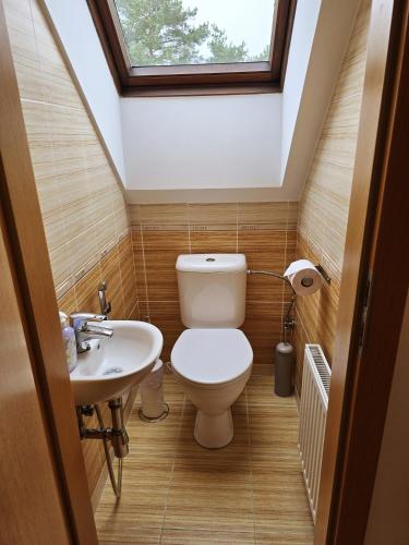 a bathroom with a toilet and a sink at Ubytování U MAXÍKA in Suchdol nad Lužnicí
