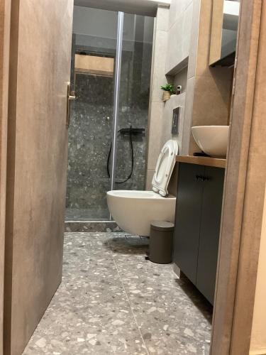 a bathroom with a tub and a sink and a shower at Madi apartment in Veria
