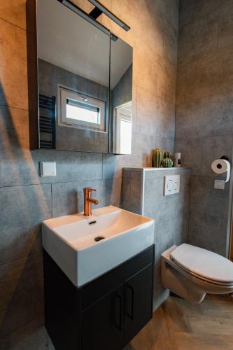 a bathroom with a sink and a toilet and a mirror at Nieuwe Luxe Lodge met Weidezicht - bij Nationaal park Drents-Friese Wold in Hoogersmilde