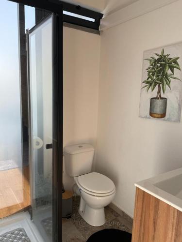 a bathroom with a toilet and a potted plant at Apartamento Deluxe II RB in Ribeira Brava