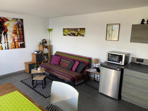 - un salon avec un canapé et un four micro-ondes dans l'établissement Charmant appartement 3 étoiles entièrement rénové 