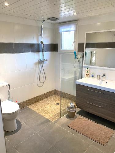 une salle de bain avec une douche, des toilettes et un lavabo dans l'établissement Charmant appartement 3 étoiles entièrement rénové 