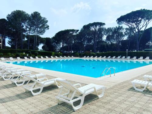 a swimming pool with white lounge chairs in front of it at Appartement Piscine et pinede - Wifi in Saint-Raphaël