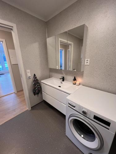 a laundry room with a washing machine and a mirror at Mountain View apartment in Isfjorden