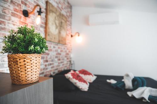 une plante en pot posée sur une table dans une pièce dans l'établissement Love Room Loft Spa logement entier balneo exterieur, à Ambronay