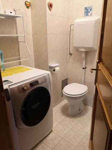 a small bathroom with a toilet and a washing machine at La Terrazzetta Val Comelico in Santo Stefano di Cadore