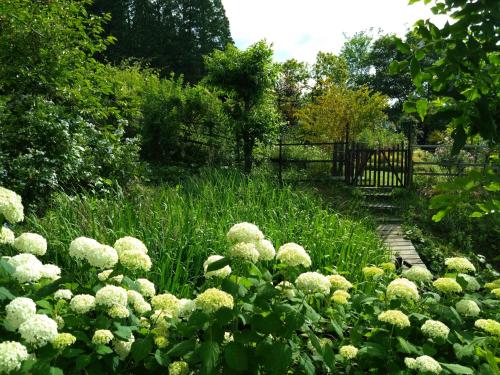 a garden with white flowers in front of a fence at 農家民宿はーばる亭 Farmhouse Herbaltei in Ayabe
