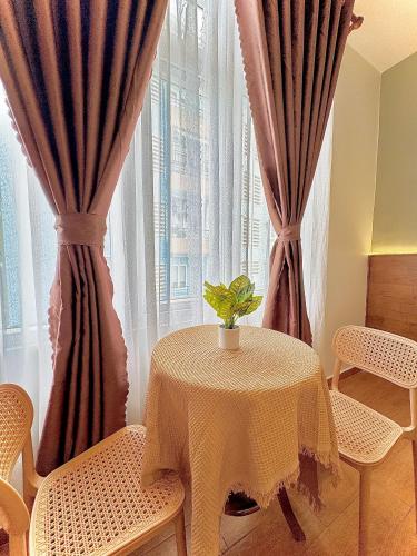 a table with a plant on it in front of a window at Quang Minh Dalat Hotel in Da Lat