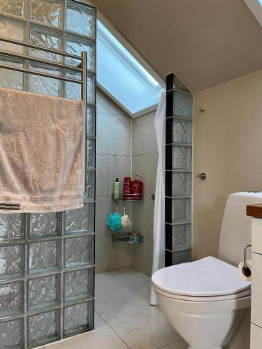 a bathroom with a shower with a toilet and a window at Cosy Guesthouse near Copenhagen in Rødovre