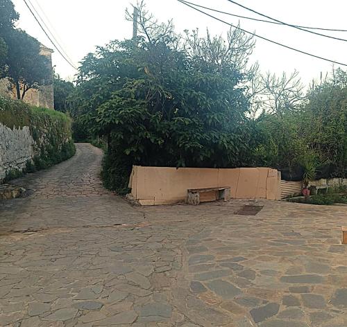 Un jardín fuera de Dimi House