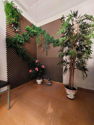 Pritty Apartement Baltico Torrevieja photo 18