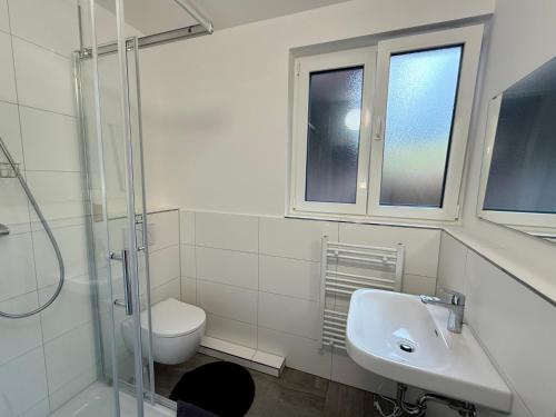 a bathroom with a sink and a toilet and a shower at Boardinghouse Zur Rose in Leidersbach