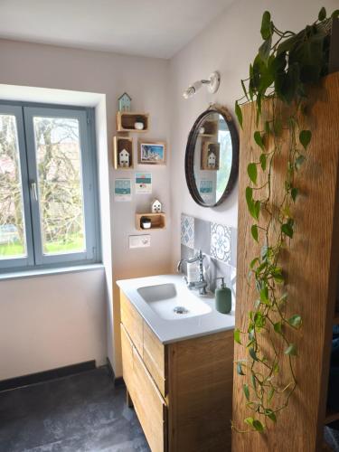 une salle de bain avec un lavabo et un miroir dans l'établissement Cassandra's Cottage, à Sebourg