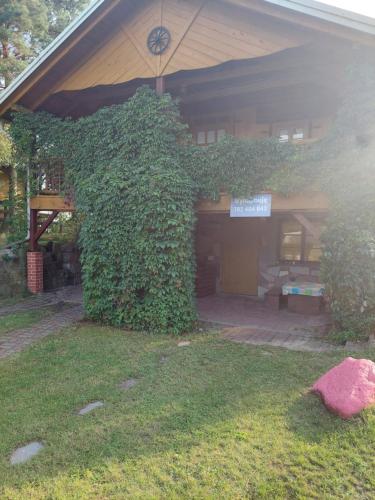 Domek Letniskowy Chatka