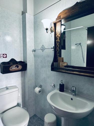 a bathroom with a toilet and a sink and a mirror at Panthoron Tzoumerka in Vourgareli