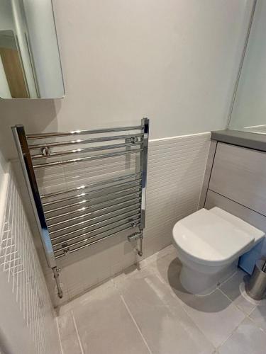 a bathroom with a toilet and a sink at Luxury 2 bedroom apartment in Aberdeen in Kirkton of Skene