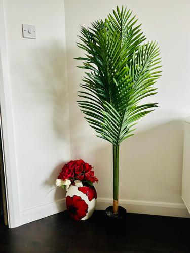 a plant in a vase next to a vase with roses at Luxury 2 bedroom apartment in Aberdeen in Kirkton of Skene
