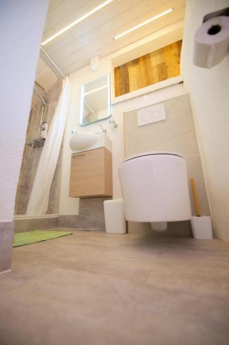 a bathroom with a toilet and a sink at Studio loft avec sauna in Leysin