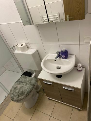 a bathroom with a sink and a toilet and a mirror at Monteurwohnung Brunner in Engelthal