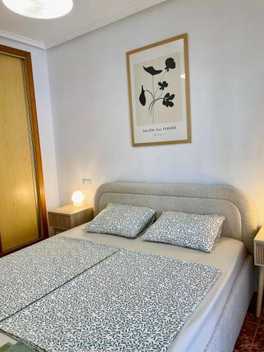 Modern apartment in Torrevieja