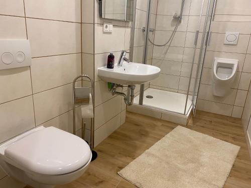 a bathroom with a toilet and a sink and a shower at Pier 1 bis 4 gmütliche Zimmer mit Boxspringbett in Cuxhaven