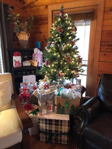a christmas tree with presents under it in a living room at Log Cabin in Bailey Camp