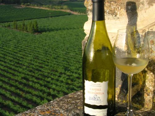 a bottle of white wine next to a wine glass at Castell de Riudabella in Vimbodí