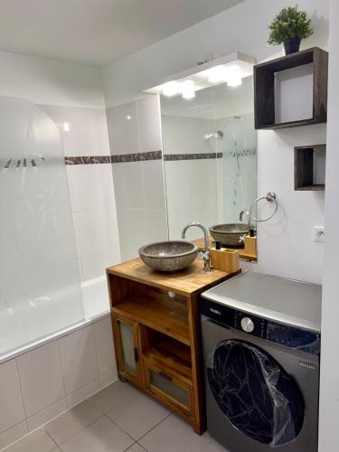 une salle de bain avec un lavabo et une machine à laver dans l'établissement Appartement entièrement meublé de 57m Chanteloup les vignes Centre ville, à Chanteloup-les-Vignes