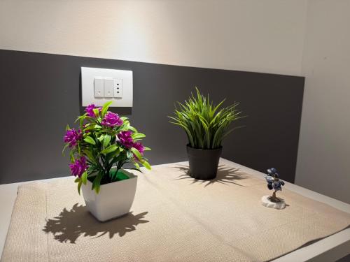 two potted plants sitting on top of a table at Franciacorta Bergamo Airport Suite Apartment in Telgate