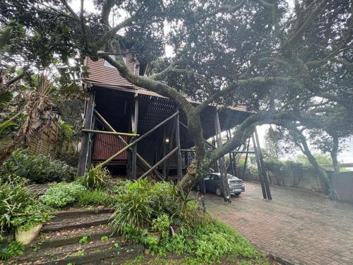 a house with a tree leaning over a garage at Bon-up-a-Tree log house with jacuzzi ocean views, south coast Kwa Zulu Natal in Port Edward