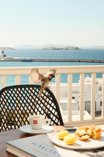 a bird flying over a table with a plate of food at Yalos Hotel Sunset view Mykonos town private rooms in Mýkonos City