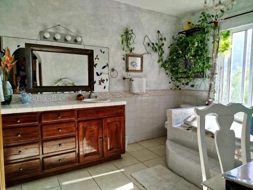 Fotografie z fotogalerie ubytování Villa Paloma v destinaci La Manzanilla