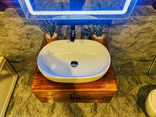 a sink in a bathroom with two potted plants at The Mountain Breeze Galle Cabanas in Galle