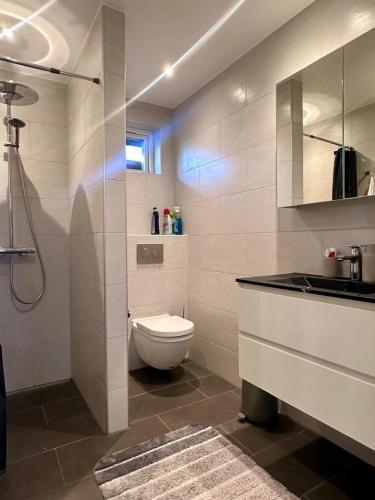 a bathroom with a toilet and a sink and a shower at Luxury Nature Retreat in Gilleleje
