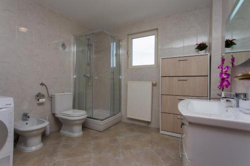 a bathroom with a toilet and a shower and a sink at Villa Almas with swimming pool, tennis court, sauna, gym, grill house in Neorić