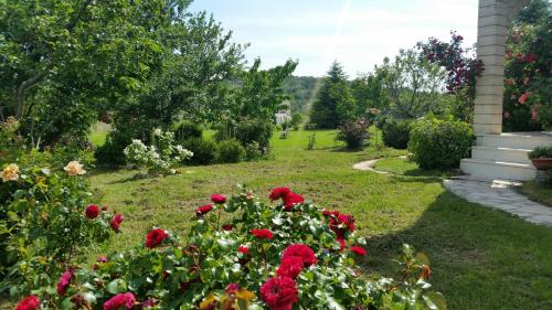 a garden with red flowers in the grass at Villa Almas with swimming pool, tennis court, sauna, gym, grill house in Neorić