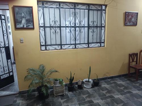 Фотография из галереи Departamento Casa Gastón в городе Тинго-Мария
