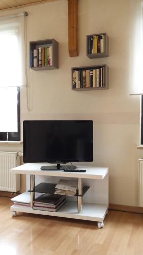 a living room with a tv on a white table at Logis Am Park in Dessau