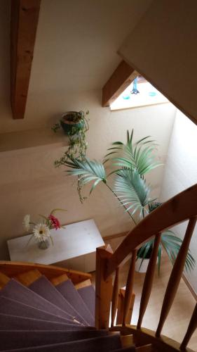 a room with a staircase and a potted plant at Logis Am Park in Dessau