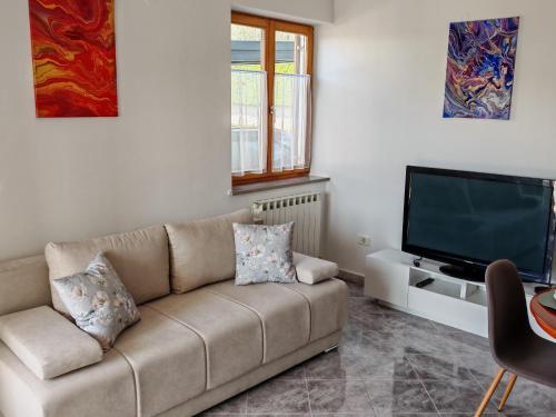 TV a/nebo společenská místnost v ubytování Apartma S&M