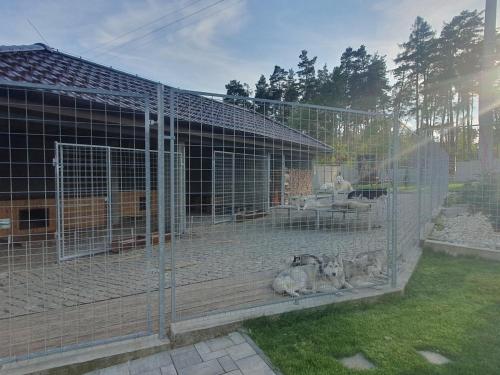 Gambar di galeri bagi Sněhová Chalupa - klid a pohoda di Alojzov