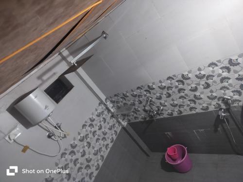 a bathroom with a flock of pigeons on the wall at Swastik Guest House in Arambol
