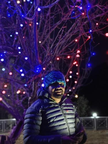 a statue of a man standing in front of christmas lights at The Whitegrove Retreat in Mukteswar