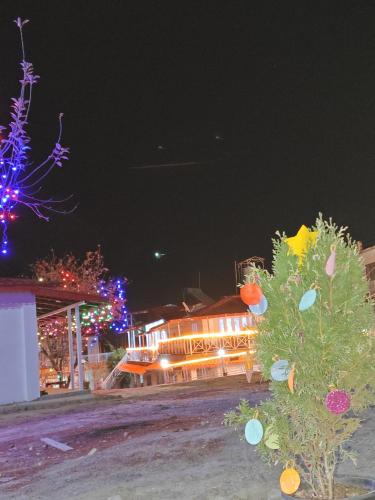 a christmas tree in front of a building with lights at The Whitegrove Retreat in Mukteswar