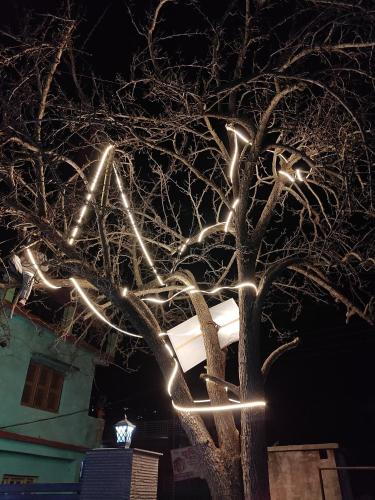 a tree with christmas lights on it at night at The Whitegrove Retreat in Mukteswar