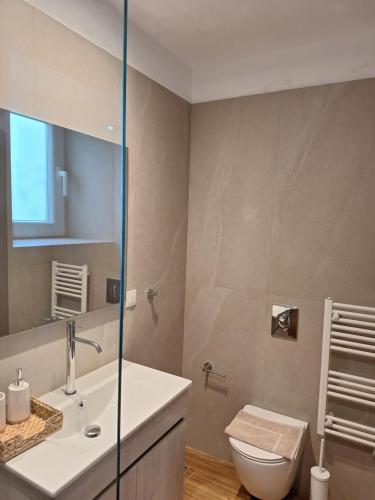 a bathroom with a sink and a toilet and a mirror at Iris&Phaedra in Ayiá