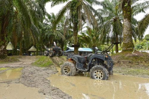 two atvs parked on a dirt road with palm trees at Hotel O Otternest @ Gunung Pulai 2 in Pontian Besar