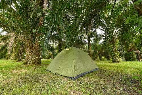 a green tent sitting in the grass under palm trees at Hotel O Otternest @ Gunung Pulai 2 in Pontian Besar
